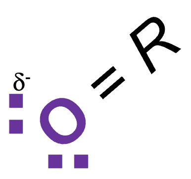 <p>lone pair of electrons associated with an electronegative atom (O, N, S)</p>
