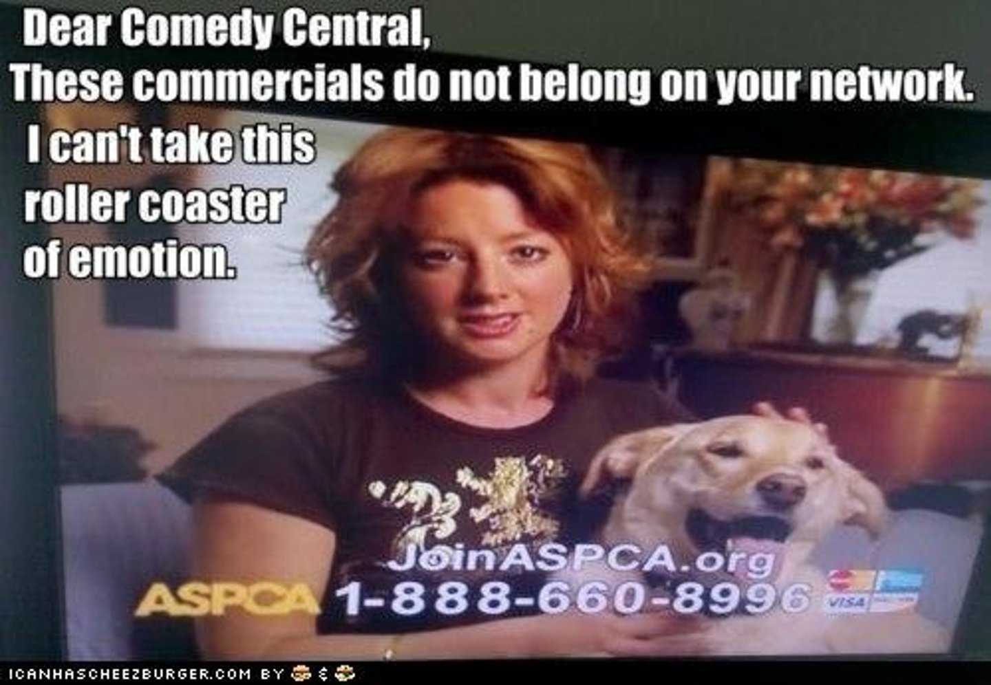 <p>In rhetoric, the use of inflammatory language or imagery to appeal to the emotions.</p>