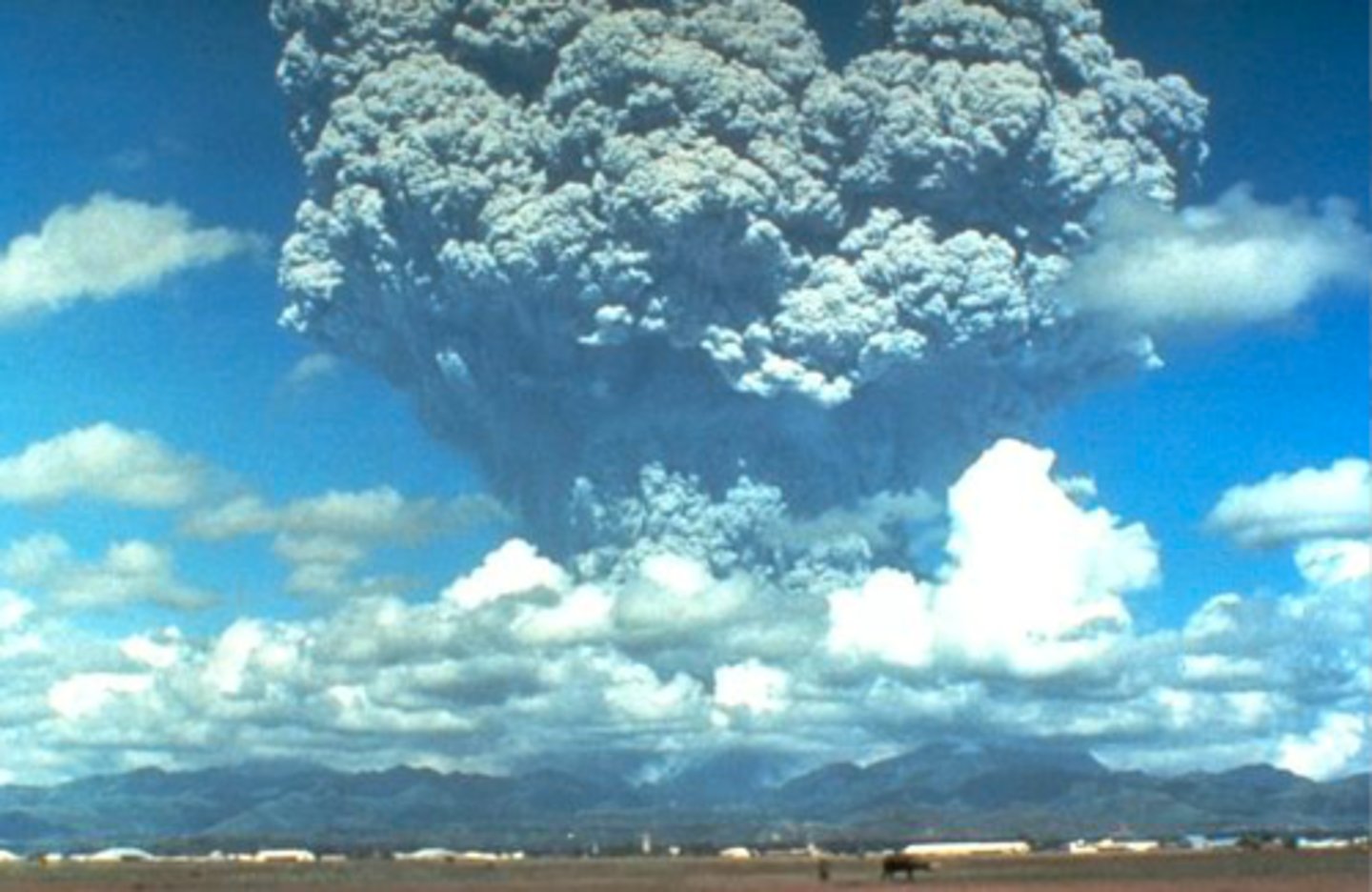 <p>... released huge amounts of ash into atmosphere<br>Ash was reflective, reflected solar radiation back out to space<br><br>... changes earths global temperature by 1.5 degrees c for almost 2 years<br>(after 2 years it disperses and settles)</p>