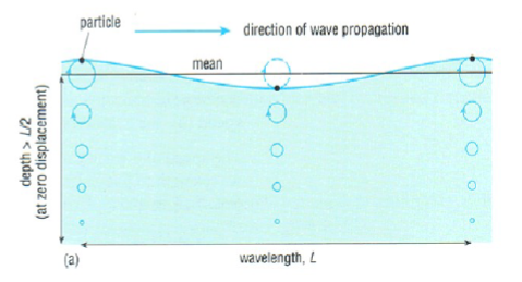 <p>Surface waves define orbitals which have decreasing width with depth. Shallow water waves reach the bottom, deep water waves do not. Orbitals at the bottom create shear stress that oscillates back and forth as waves pass overhead. This stress will move sediment</p>