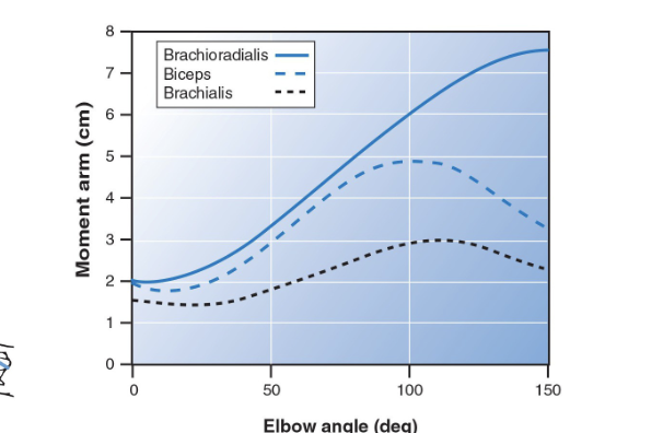 <ul><li><p class="Paragraph SCXO15180886 BCX4" style="text-align: left;"><span style="background-color: inherit; line-height: 19.55px; color: windowtext;"><span>Moment arm is a function of joint angle</span></span><span style="line-height: 19.55px; color: windowtext;"><span>&nbsp;</span></span></p></li><li><p class="Paragraph SCXO15180886 BCX4" style="text-align: left;"><span style="background-color: inherit; line-height: 19.55px; color: windowtext;"><span>Changes non-linear with joint angle</span></span><span style="line-height: 19.55px; color: windowtext;"><span>&nbsp;</span></span></p></li><li><p class="Paragraph SCXO15180886 BCX4" style="text-align: left;"><span style="background-color: inherit; line-height: 19.55px; color: windowtext;"><span>Also affected by angle of attachment</span></span></p></li><li><p class="Paragraph SCXO15180886 BCX4" style="text-align: left;"><span style="background-color: inherit; line-height: 19.55px; color: windowtext;"><span>This is the same relationship for muscular and gravitational torque</span></span></p></li></ul><p></p>