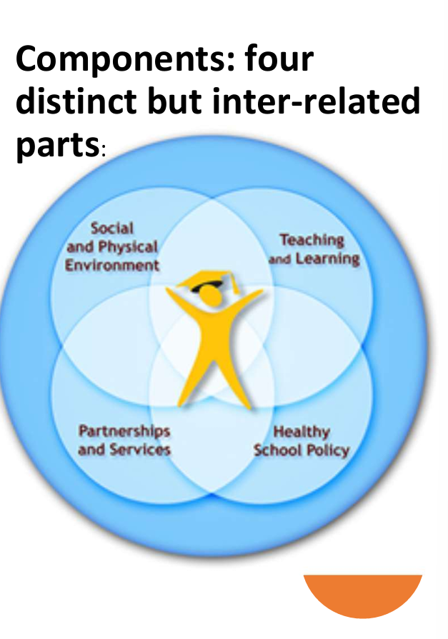 <ul><li><p>Health and Education are interconnected </p></li><li><p>• understands that schools can directly influence students’ health and behaviours • recognizes that healthy young people learn better and achieve more </p></li><li><p>• encourages healthy lifestyle choices, and promotes students’ health and wellbeing </p></li><li><p>• Helps students develop the skills needed for academic success and to be physically and emotionally healthy for life </p></li><li><p>• Better-educated individuals are healthier</p></li></ul><p></p><p></p><p>4 components distinct but interrelated</p><ul><li><p>social and physical environment</p></li><li><p>teaching and learning</p></li><li><p>partnerships adn services</p></li><li><p>healthy school policy </p></li></ul><p></p>