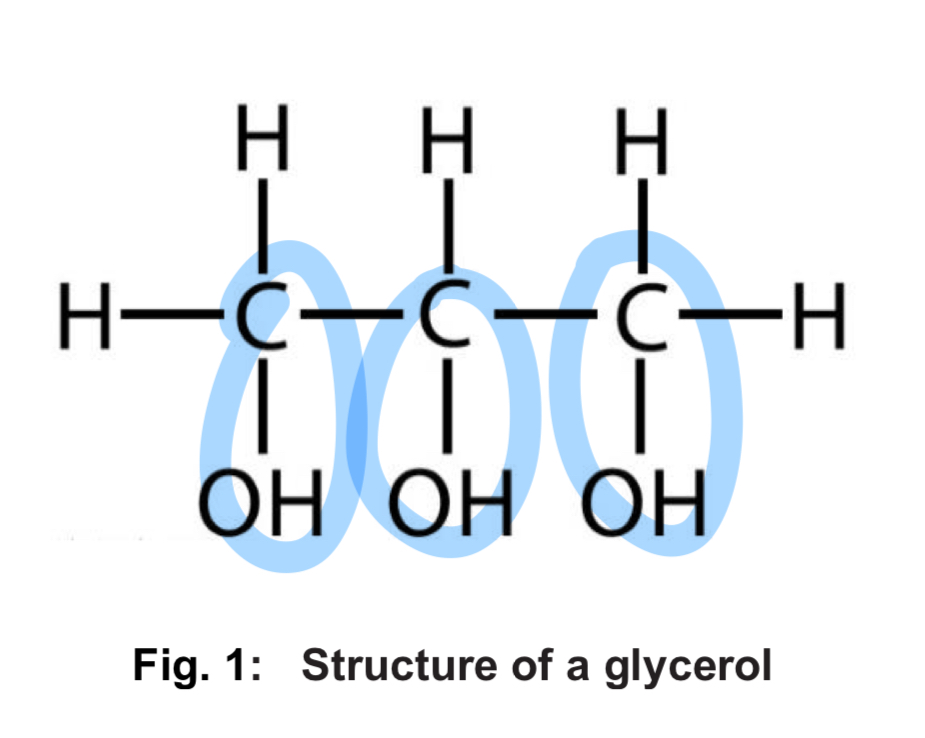 <p>Glycerol</p><ul><li><p>C3H8O3</p></li><li><p>(S) <strong>three-carbon</strong> alcohol, with each carbon bearing a <strong>hydroxyl -OH group </strong></p></li><li><p>(P) <strong>soluble in water</strong> cos of <u>polar -OH group</u></p></li></ul><p></p><p></p>