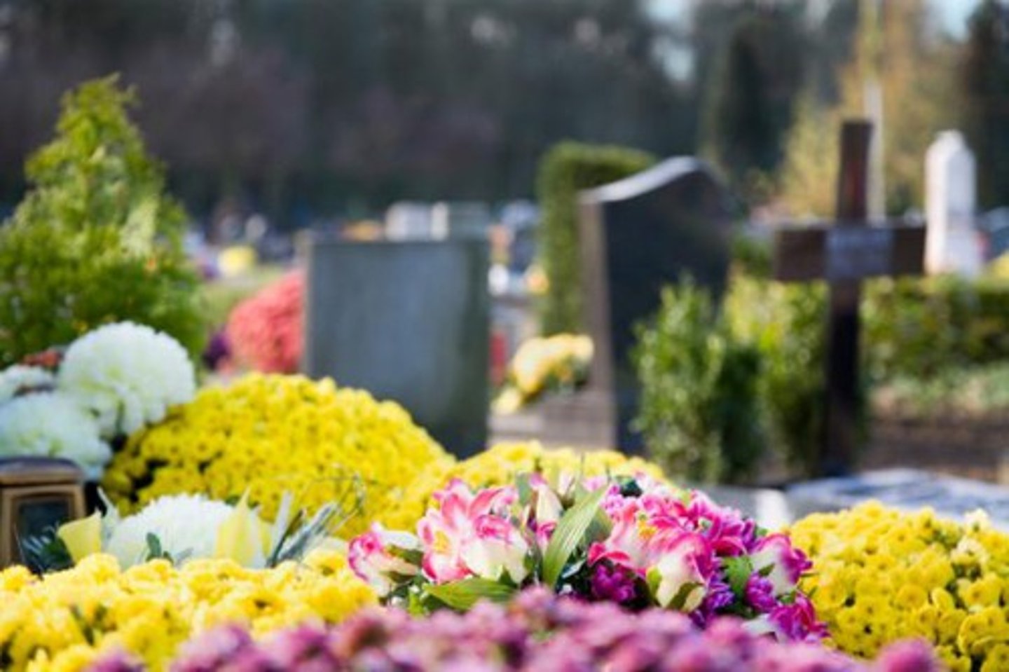 <p>All Saints' Day</p>