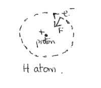 <ul><li><p>electron moves in circular orbits under the influence of the attractive Coulomb force, F. </p></li><li><p>Proton mass » electron mass, so the proton is stationary.</p></li></ul><p></p>