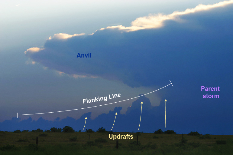 <p>flanking line</p>