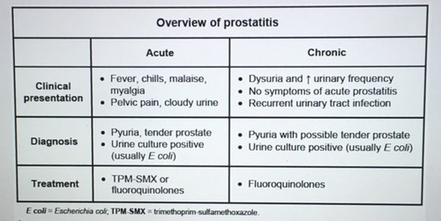 <p>Mid-stream urine sample</p><p>- empiric abx therapy with TMP-SMX or FQs and treatment continue for 4-6 weeks</p>