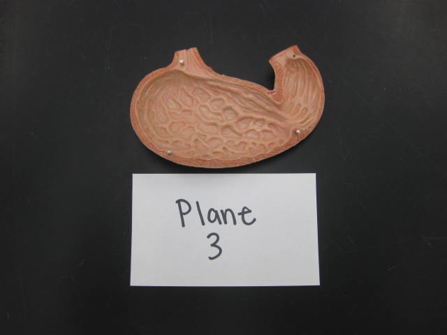 <p>Plane </p><p>Lab Image 1-7</p>