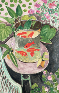 <p>Goldfish</p>