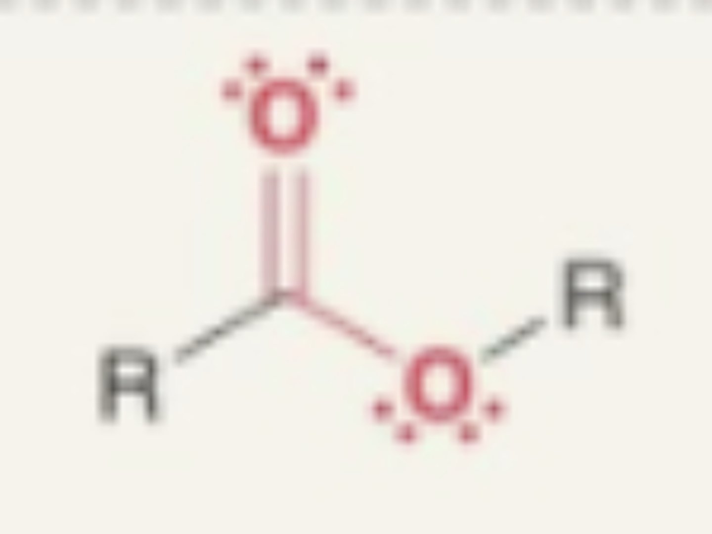 <p>- carbonyl + O + R</p><p>- oxygen between carbon and carbonyl</p>