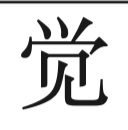 term image