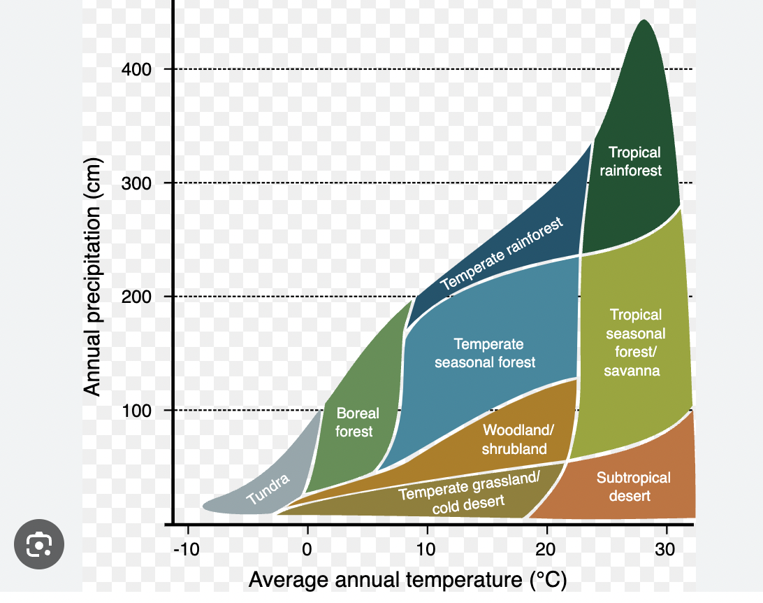 <p>Areas with high temp and high rainfall are tropical rainforests </p><p>Areas with low temp and low rainfall support tundra biomes </p><p>for any given temp and rainfall patterns, a biome will be supported</p>