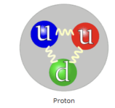 <p>made up from 3 quarks (2 up quarks and 1 down quark )</p><ul><li><p>p = u + u + d</p></li></ul><p></p>