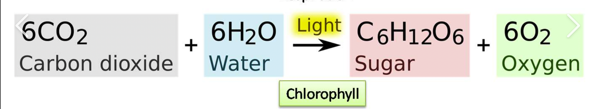opposite of cellular respiration (except light energy and ATP), linked to cellular respiration