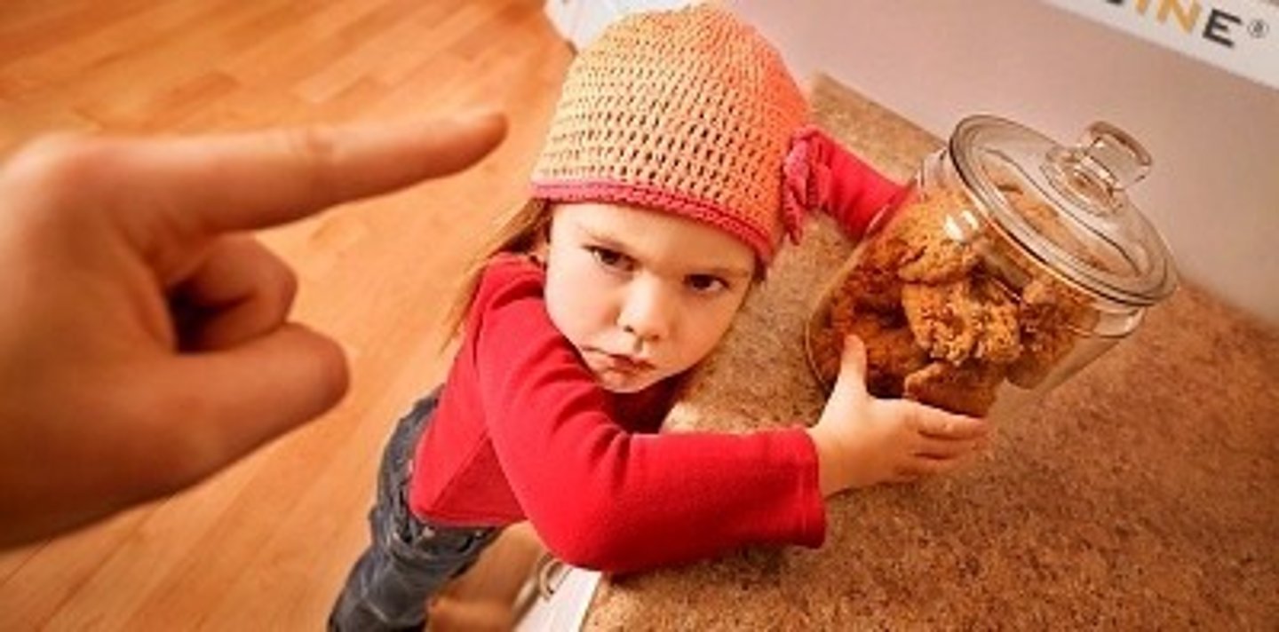 <p>Chỉ trích quyết liệt</p>