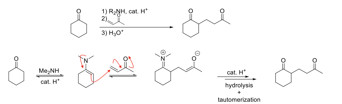 <p><strong>Mechanism:</strong></p><p>1) Enamine formation with secondary amine.</p><p>2) Michael addition (N=C bond forms, double bond of enamine attacks other double bond, double bond of michael acceptor moves, C=O bond breaks).</p><p>3) Hydrolysis of enamine to ketone.</p><p>4) Tautomerization of enolate to ketone.</p><p></p><p><strong>Notes:</strong></p><p>Unstabilized enolates are bad michael donors because they can go 1,4-adduct or 1,2-adduct.</p><p>Instead, enamines can be used because they are good michael donors and go 1,4-adduct.</p>