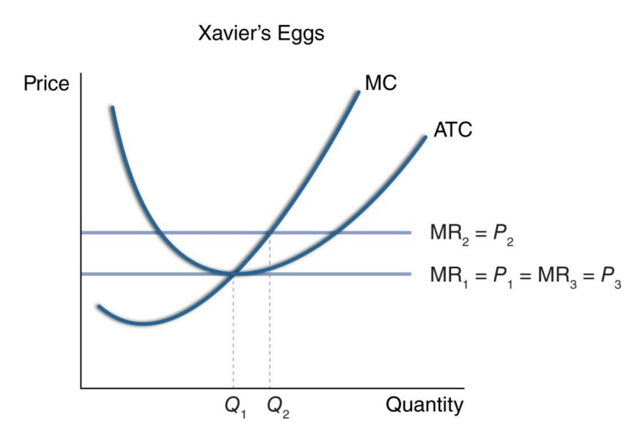 <p>In the initial situation, Xavier’s Eggs produce Q1 when price is P1. After the increase in price to P2, caused by the rightward shift in demand, output increases to Q2. Finally, as first enter and drive the price back down to P1, Xavier’s Eggs return to producing Q1. Note that despite Xavier’s Eggs producing the same number of eggs in the new long-run equilibrium as in the initial situation more eggs are produced in the overall market in the new long-run equilibrium because there are more firms in the market. See graph below.</p>