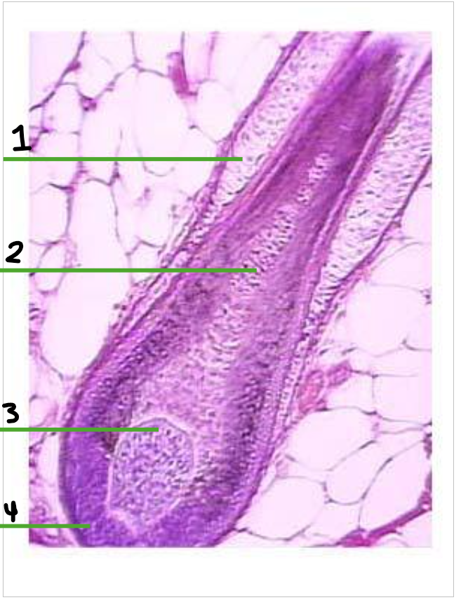 <p>what is 1 called</p>