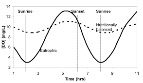 <p>Oxygen profile over 24 hour cycle for the surface waters of a lake or large river in summer</p>