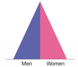 <p>Low income country : High birth rate, moderate death rate, medium life expectancy, rapid population growth</p>