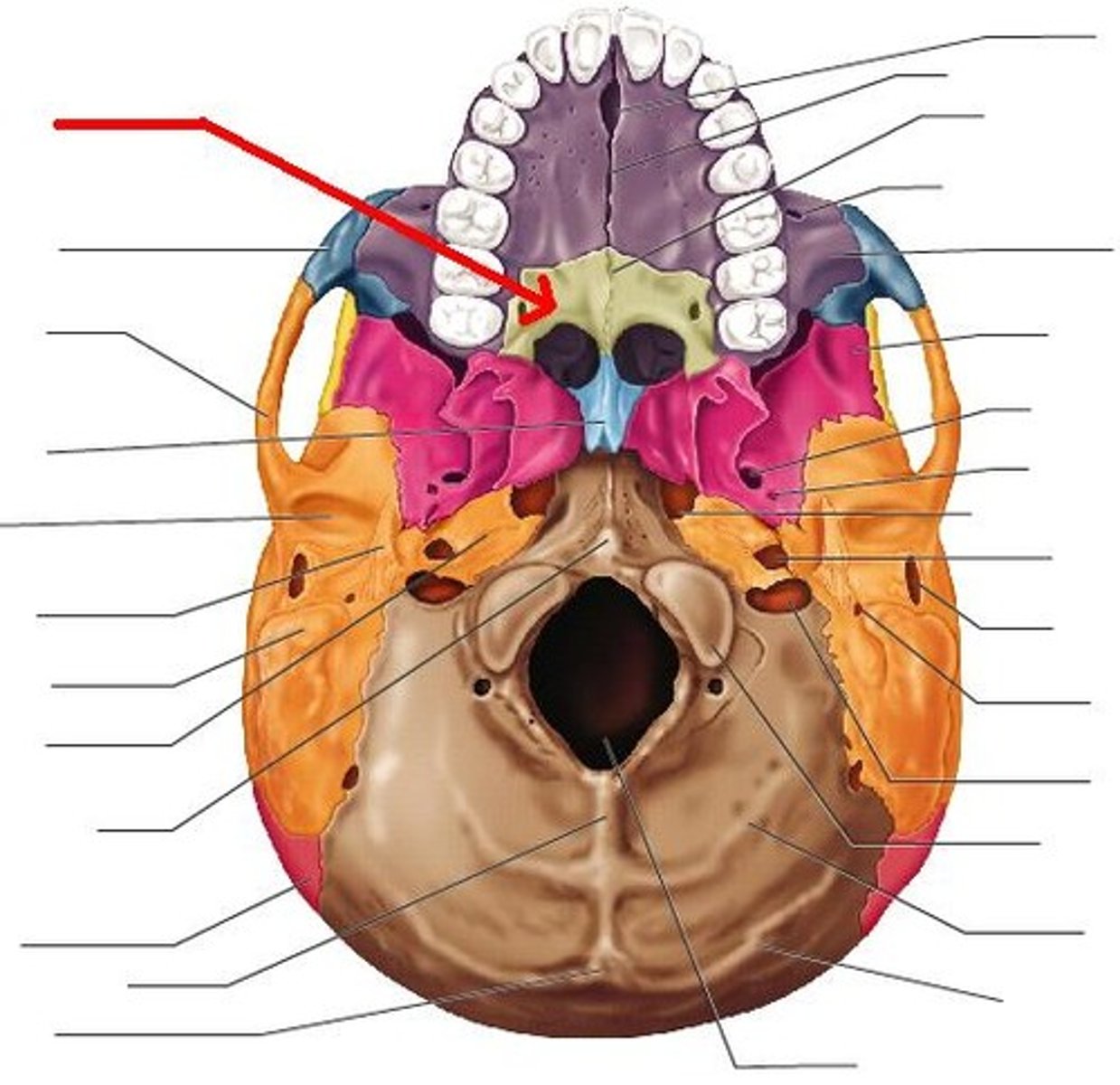 knowt flashcard image