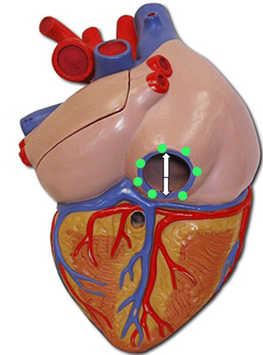 <p>name the structure</p>
