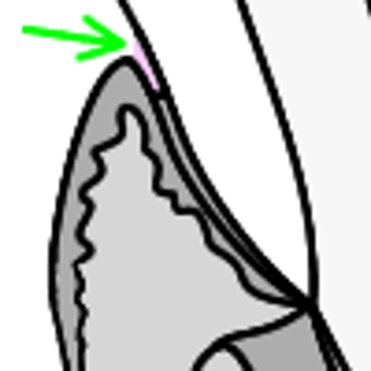 <p>What is this?</p>