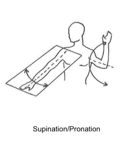 <p>Einwärtsdrehen</p>