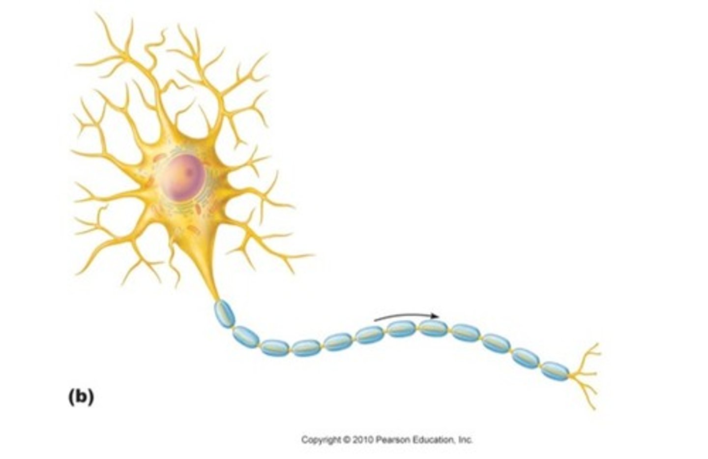 <p>electrical current is flowing in that direction</p>