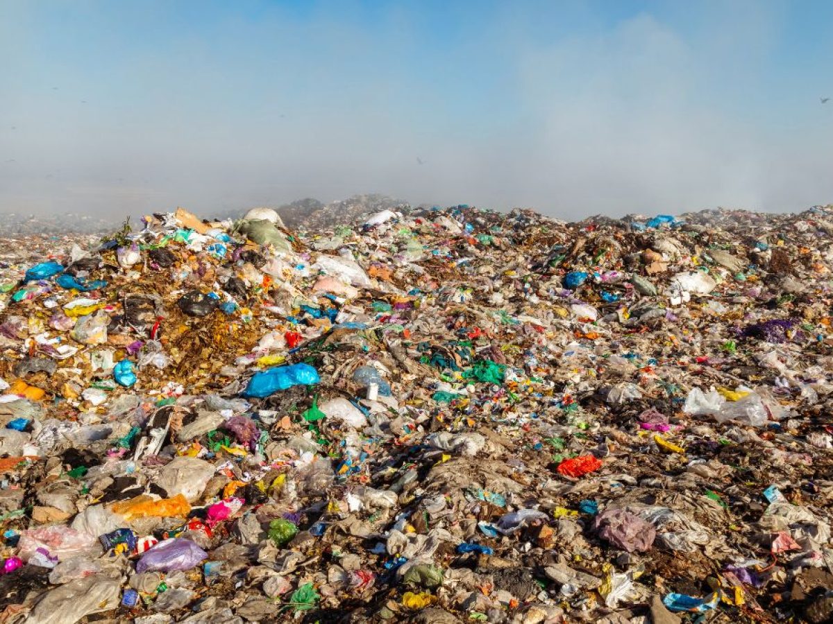 <p><span>a societal mindset that prioritizes convenience and disposability over durability and sustainability</span></p>