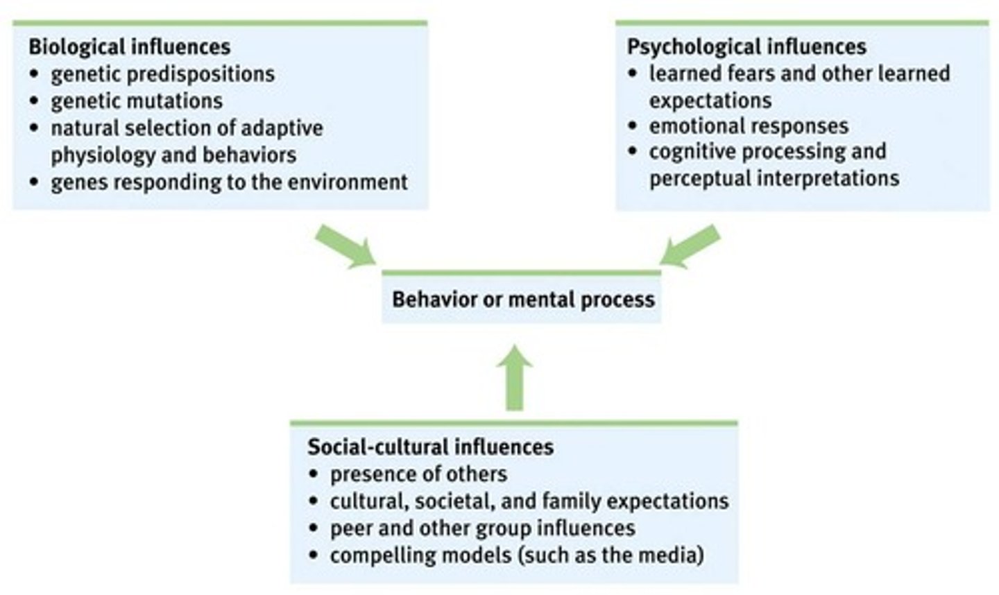 <p>integrate different levels of analysis.</p>