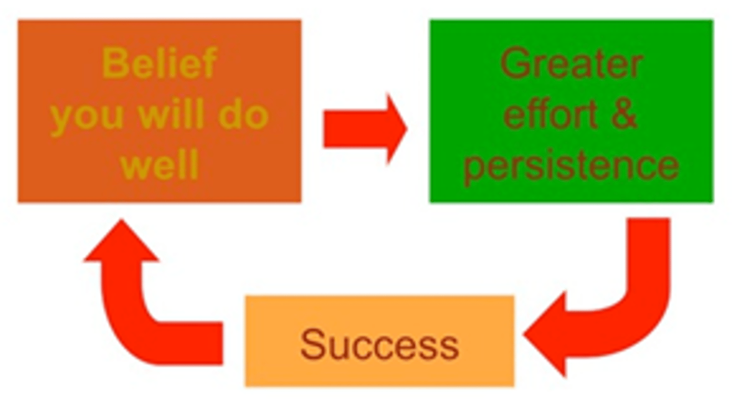 <p>Our belief in our ability to succeed.</p>