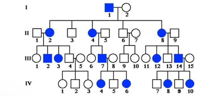 <p>- trait is common in pedigree<br>- affected fathers pass to ALL of their daughters<br>- males and females are equally likely to be affected</p>