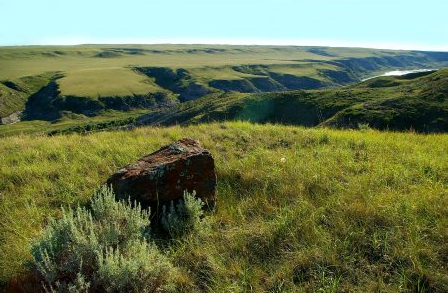 <p>Climate: very <strong>dry</strong> and are too dry for most trees</p><p>Vegetation:<strong> natural grasses</strong> grow taller in the wetter areas of the region than in the drier areas</p><p>Physiography: flat-to-gently rolling plain with a few major hill systems</p><p>Location: southern <strong>Manitoba</strong> into <strong>Alberta</strong></p>