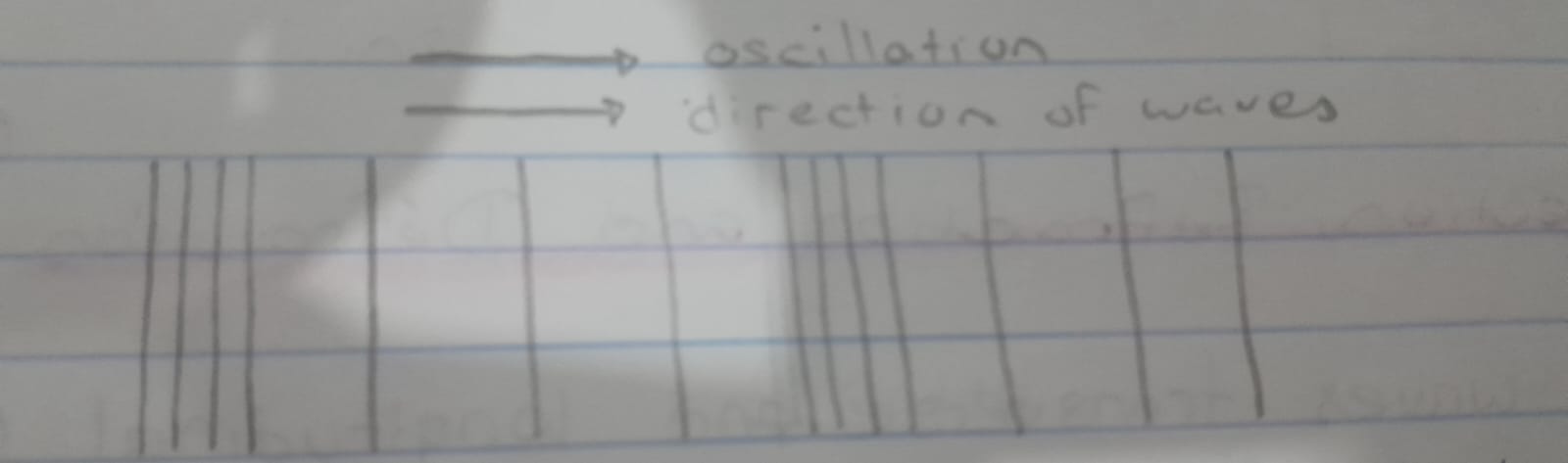 <ul><li><p>Are usually drawn as several lines to show that the wave is moving parallel to the direction of energy transfer.</p></li><li><p>Drawing the lines closer together represents the compressions.</p></li><li><p>Drawing the lines further apart represents the rarefactions.</p></li></ul>