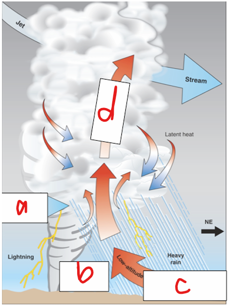 <p>What does a represent in the image?</p>