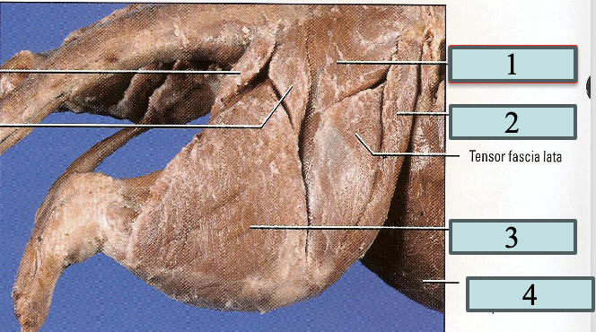 <p>1</p>
