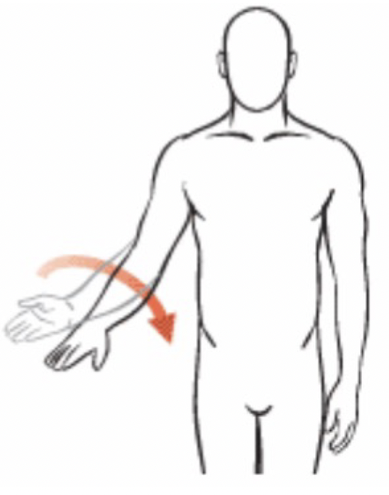 <p>This is called</p>