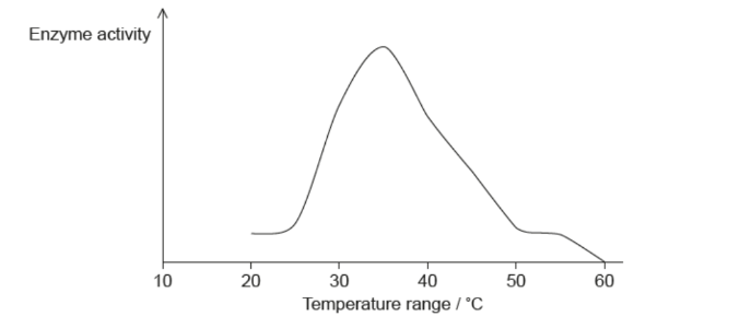 <p>The graph shows the activity of an enzyme at various temperatures. The pH of the experiment was kept constant at pH 8.</p><p>Based on the data, what would the result be if the experiment was repeated at pH 9?</p>