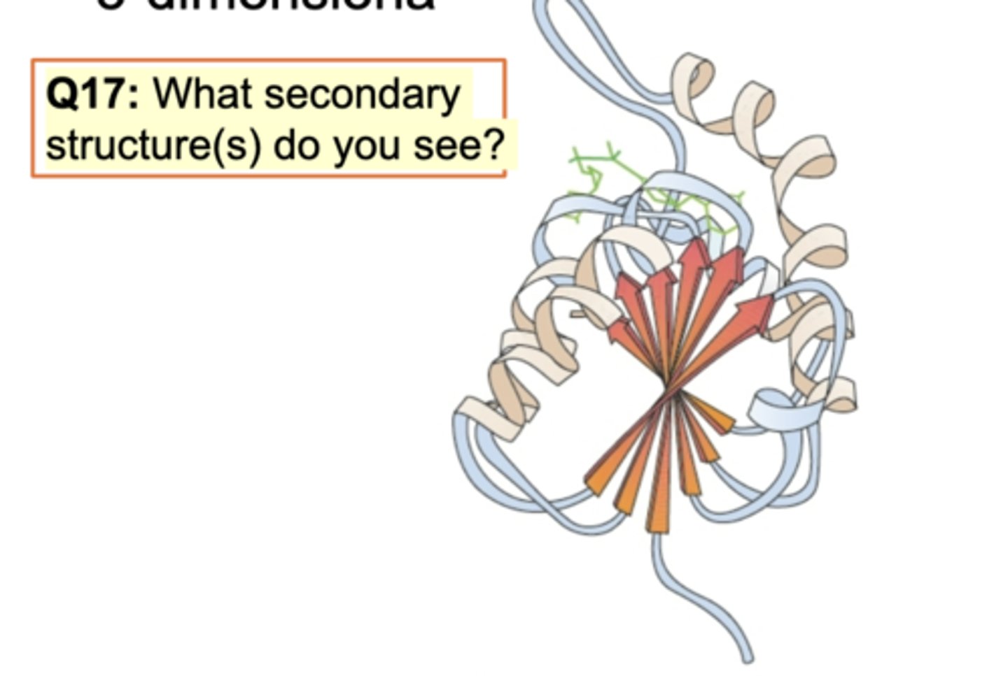 <p>combination of diff type of 2ndary structure. One polypeptide chain. Multiple alpha helices and beta sheets (parallel or antiparallel) seen (unstable - bent or stable - not bent). Some turns involved b/w them.</p><p>comb of alpha, beta sheets, turns, folds</p>