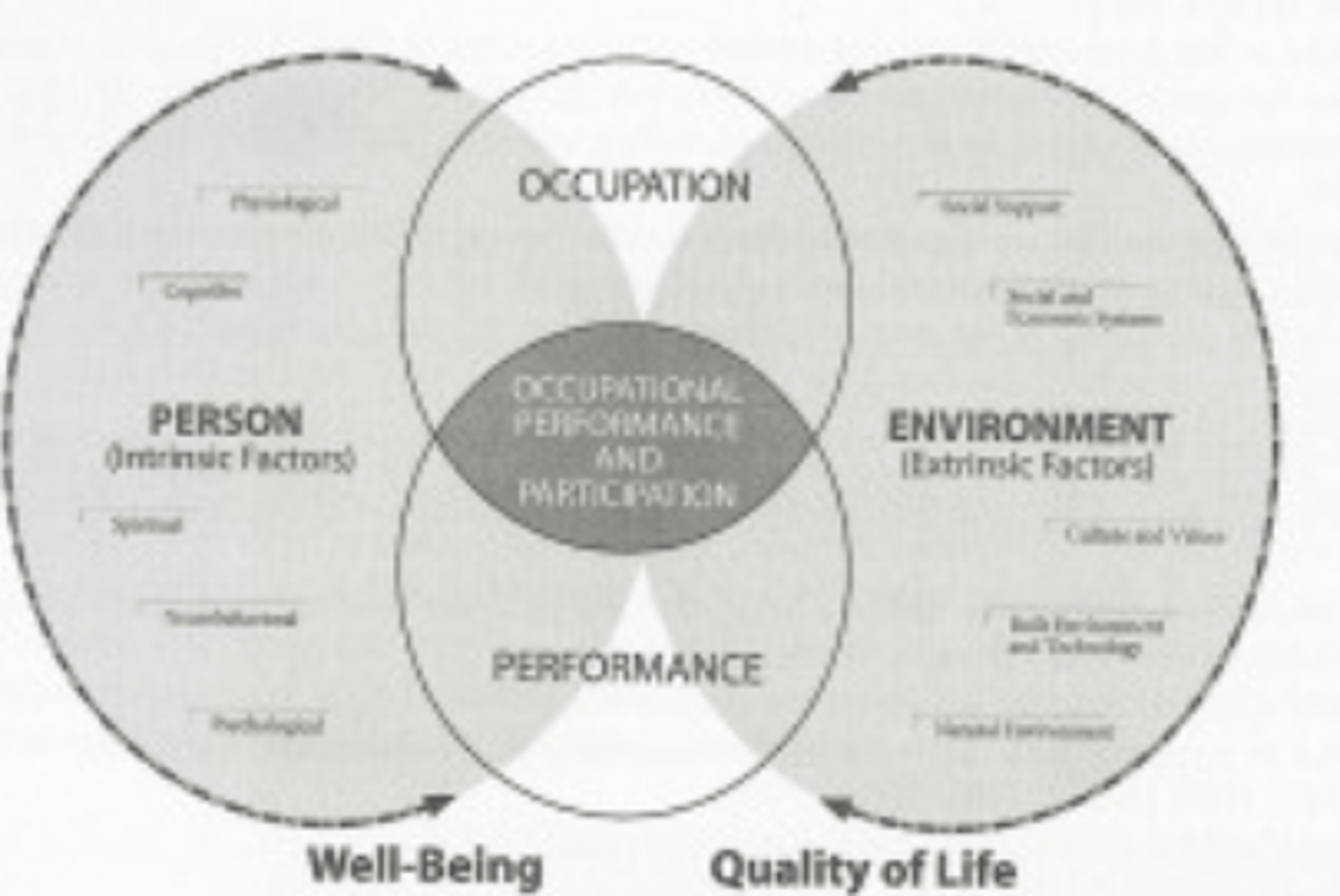 <p>Situational analysis (e.g. population description, environmental scan, health status, intrinsic factors, occupational participation)</p>