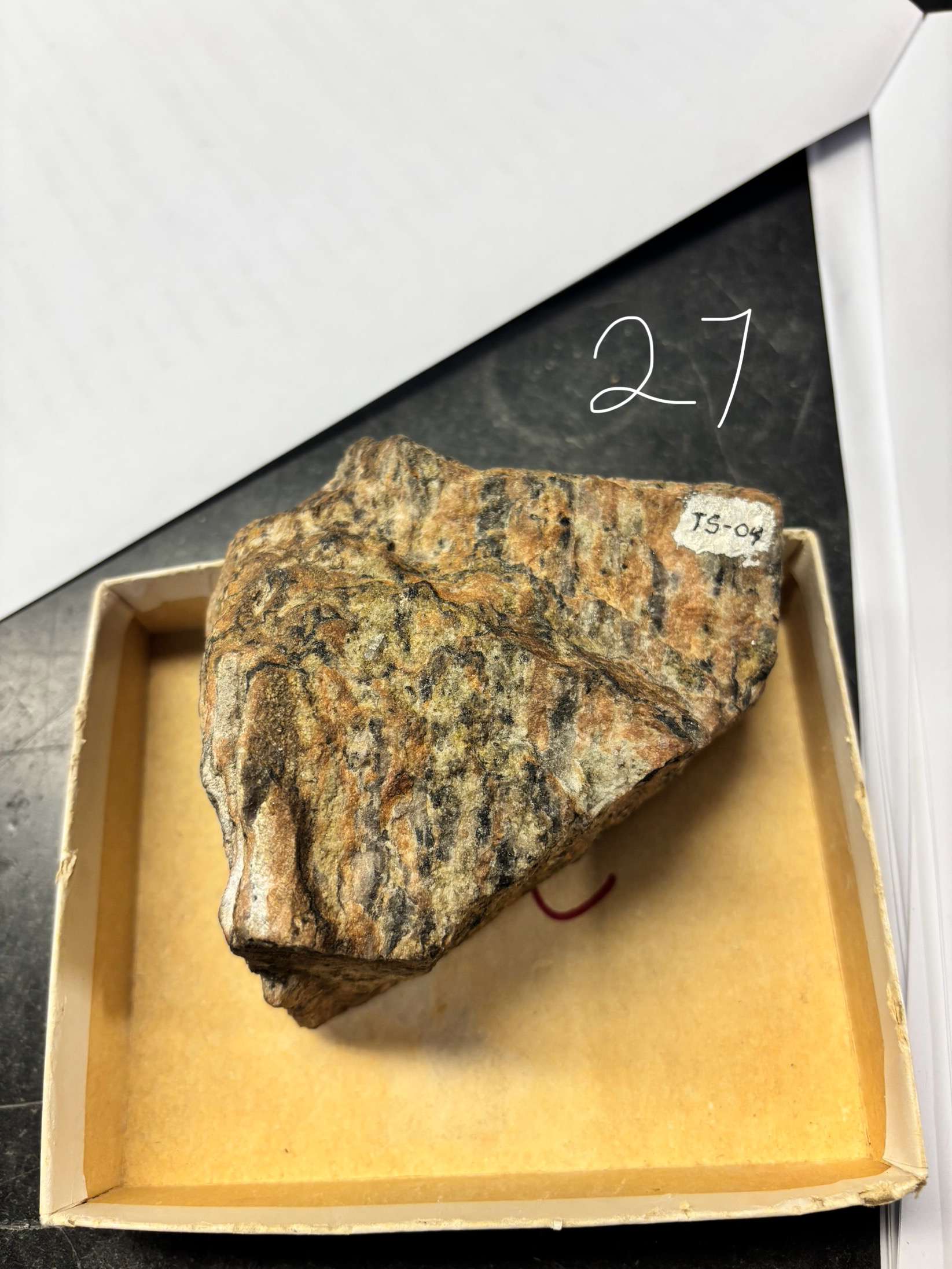 <p>Minerals Present ?</p><p>Overall texture ?</p><p>Rock Name ?</p>