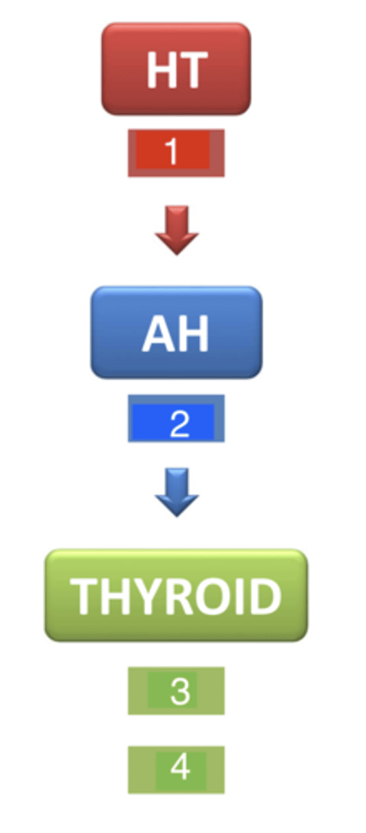 <p>what are 3 and 4?</p>