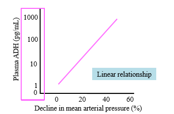 <p>Log scale, but linear relationship. When MAP declines, ADH is secreted. Causes vasoconstriction from ADH to increase BP</p>