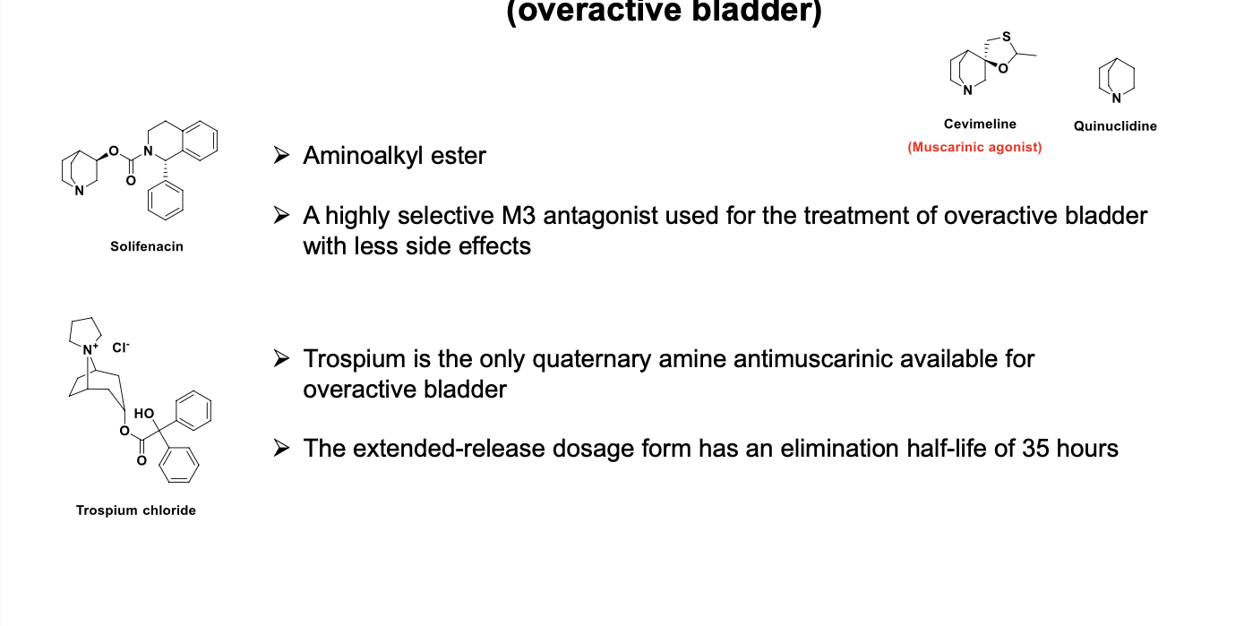 <ul><li><p>aminoalkyl ester</p></li><li><p>a highly selective M3 antagonist used for the treatment of overactive bladder w/less side effects</p></li><li><p>trospium is the only quaternary amine anti-muscarinic available for overactive bladder</p></li><li><p>ER doage form has elimination half-life of 35 hours</p></li><li><p>cevimeline = muscarinic agonist</p></li></ul><p></p>