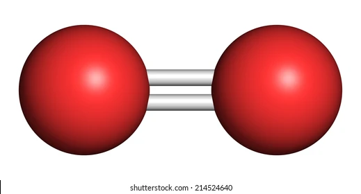 <p>a group of atoms <u>covalently bonded</u> together&nbsp;</p><ul><li><p>can be all different or same element&nbsp;</p></li><li><p><u>nonmetals</u>&nbsp;</p></li></ul><p>e.g)&nbsp;Ozone (O₃),&nbsp;water) H₂O</p>