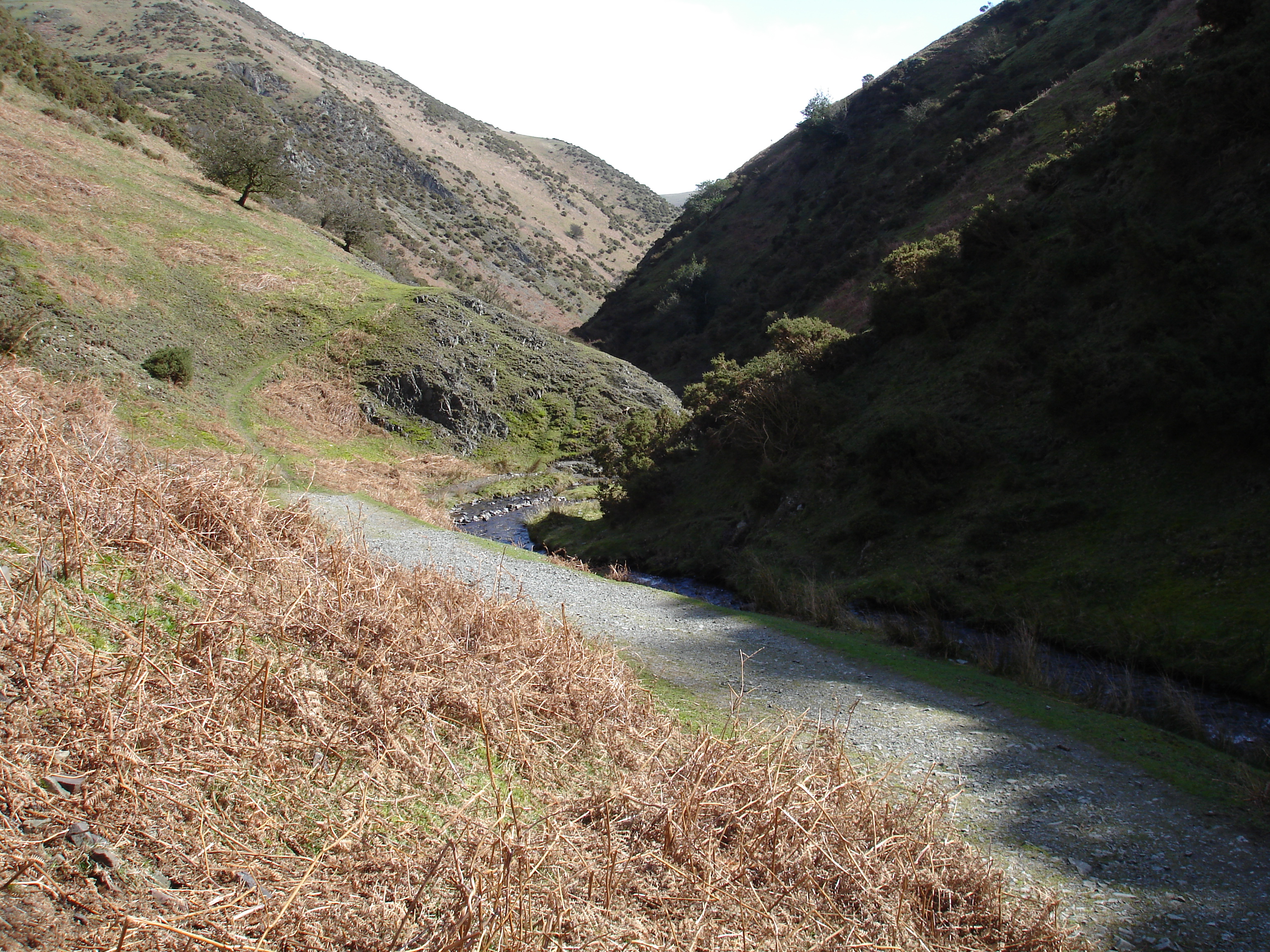 <p>what river feature is this</p>