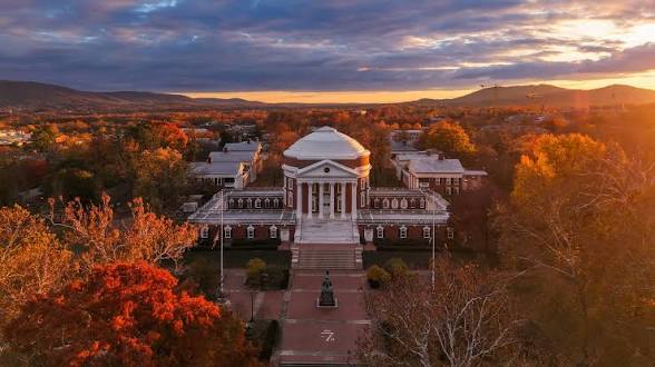 <p>University of Virginia</p>