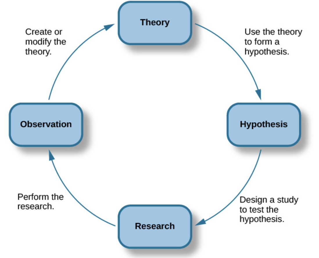 <p>Theory → Hypothesis → Research → Observation<br><br>It’s good to follow the scientific method because it answers a question with real data/facts, not bias and “what you think”</p>