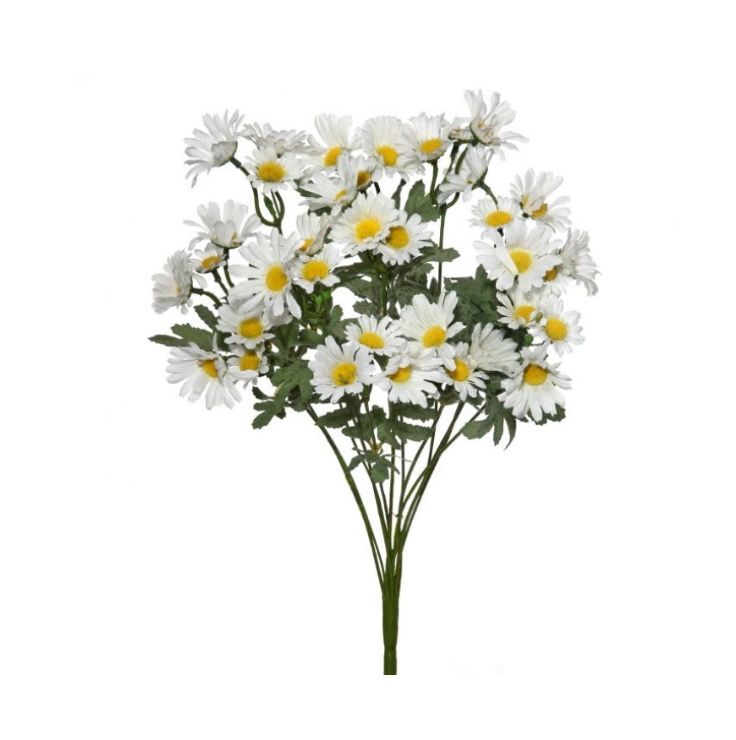 <p>Flowers Liqueur</p>